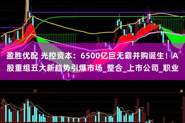 盈胜优配 光控资本：6500亿巨无霸并购诞生！A股重组五大新趋势引爆市场_整合_上市公司_职业